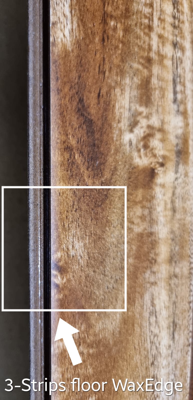 Laminated 3-Strips Floor