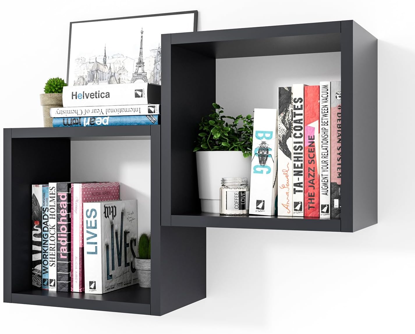 Cube Shelfs -LOG-7289