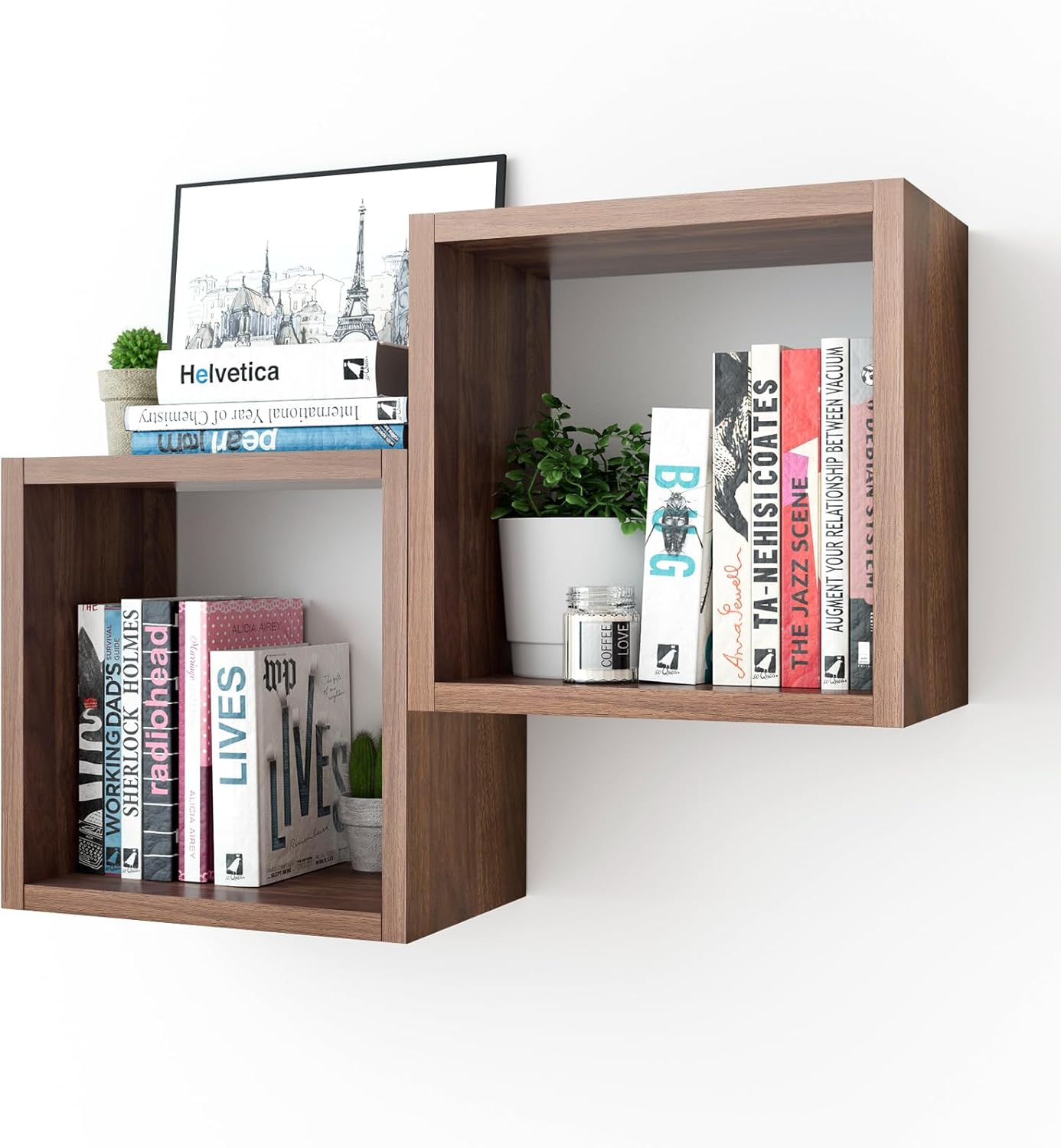 Cube Shelfs -LOG-7289