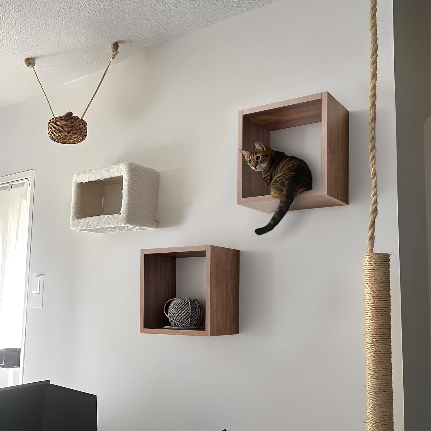 Cube Shelfs -LOG-7289